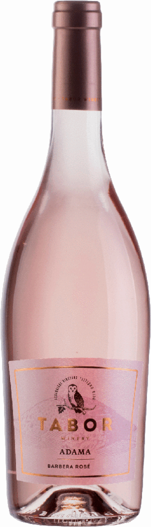 TABOR ADAMA BARBERA ROSE