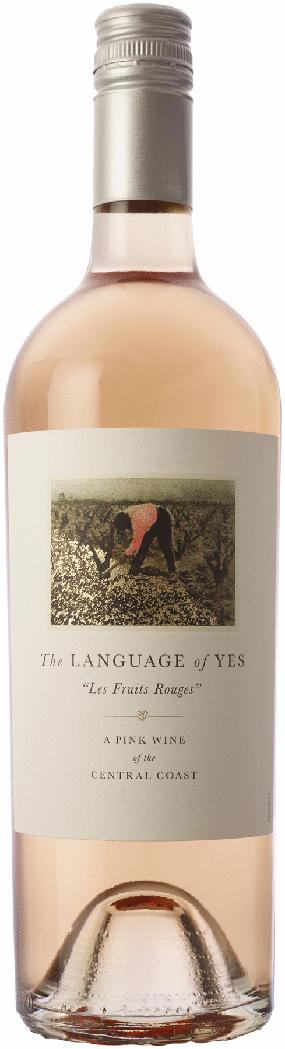 THE LANGUAGE OF YES 'LES FRUITS ROUGES' CERTIFIED SUSTAINABLE ROSE
