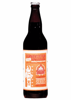 EPIC IMPERIAL PUMPKIN PORTER