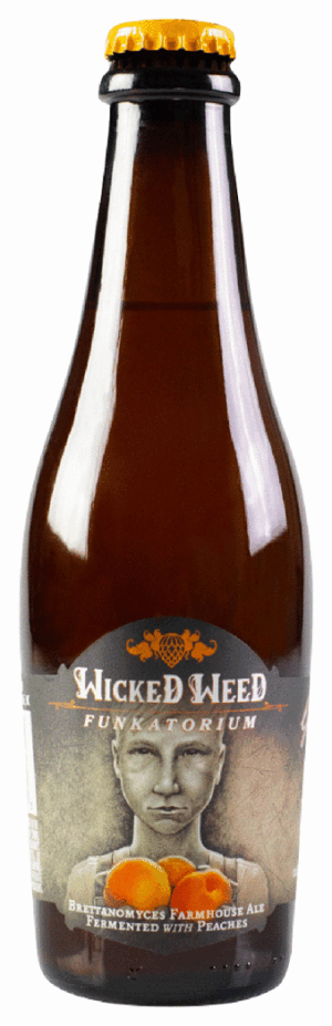WICKED WEED GARCON DE FERME