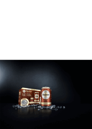 WARSTEINER PREMIUM DUNKEL