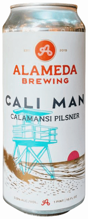 ALAMEDA CALI MAN